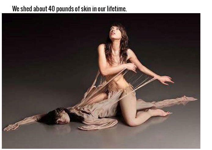 interesting facts about body