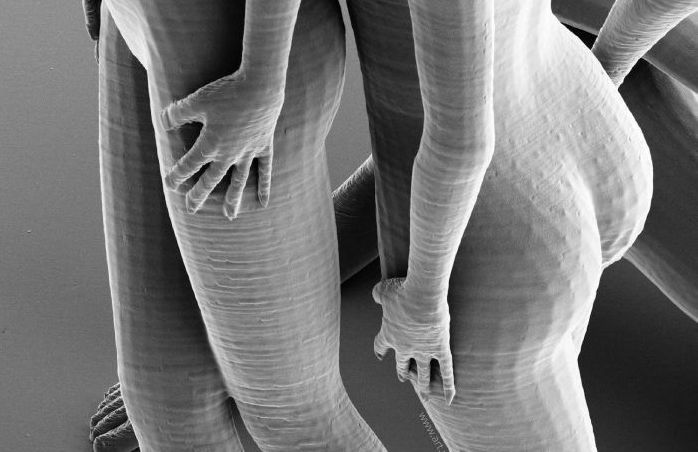 Nano Sculptures by Jonty Hurwitz
