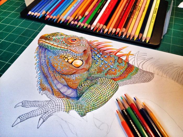 Iguana ink drawing by Timothy James Jeffs