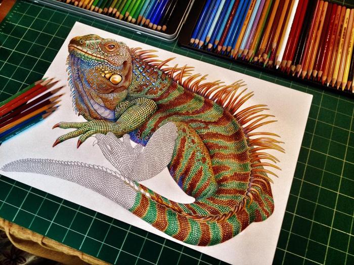 Iguana ink drawing by Timothy James Jeffs