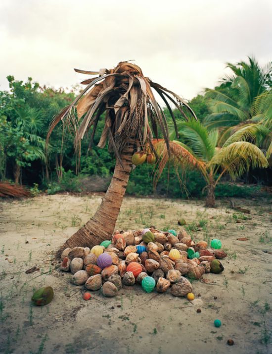 Washed Up: Transforming a Trashed Landscape by Alejandro Durán