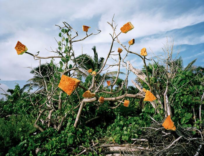 Washed Up: Transforming a Trashed Landscape by Alejandro Durán