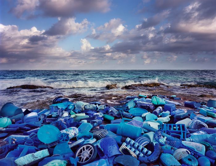 Washed Up: Transforming a Trashed Landscape by Alejandro Durán