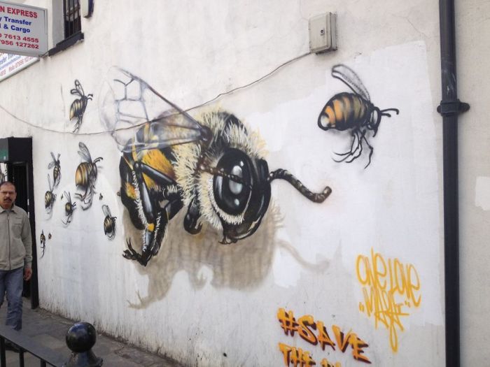 Save the Bees Project by Louis Masai Michel