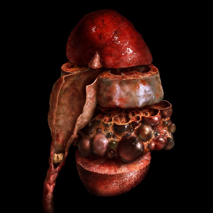 Body Voyage: A 3D Tour of a Real Human Body by Alexander Tsiaras