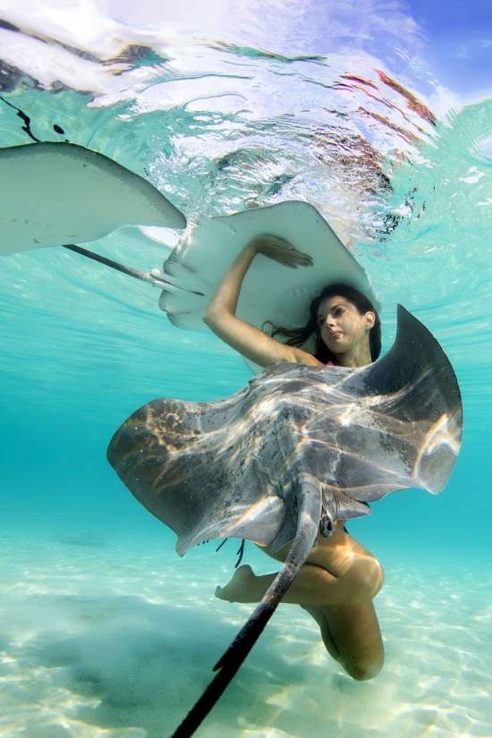 Mermaid and the stingray underwater photography by Christian Coulombe