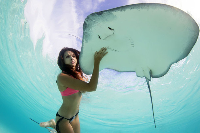 Mermaid and the stingray underwater photography by Christian Coulombe