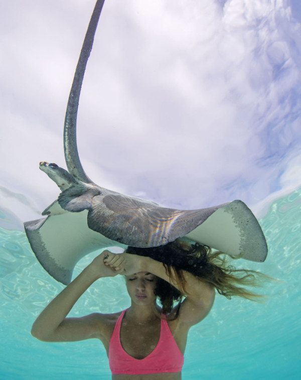 Mermaid and the stingray underwater photography by Christian Coulombe