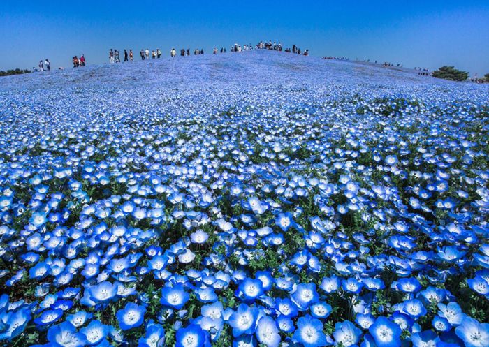 National Geographic traveler photo contest 2016