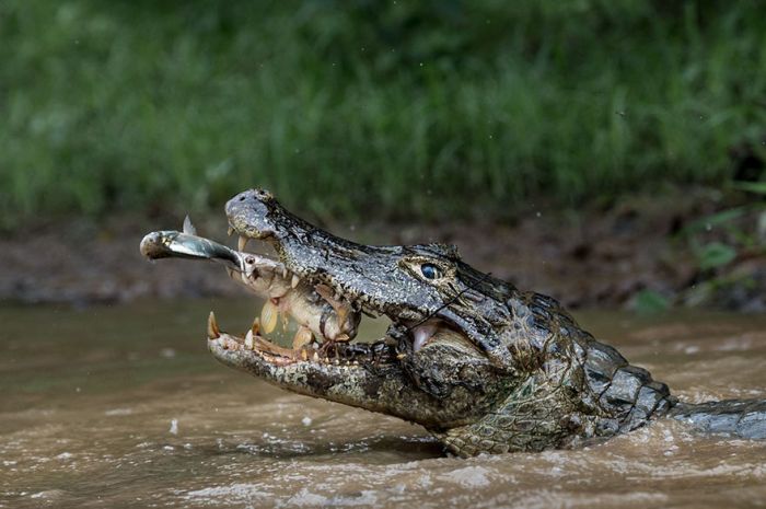 National Geographic traveler photo contest 2016