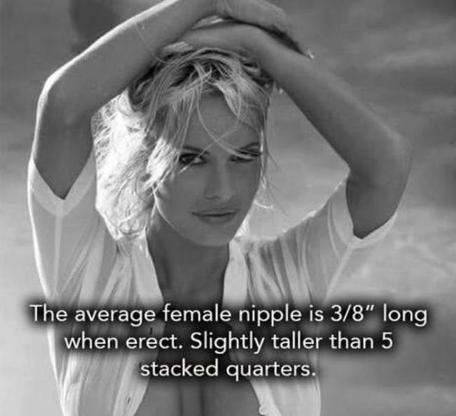 interesting facts about breasts