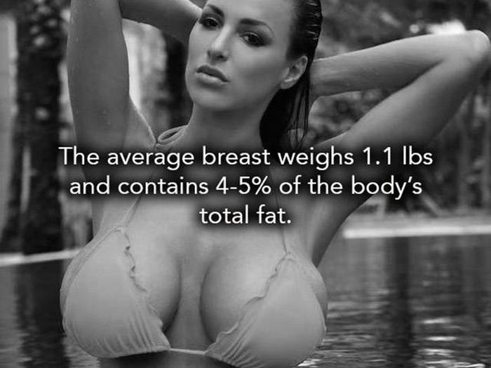 interesting facts about breasts