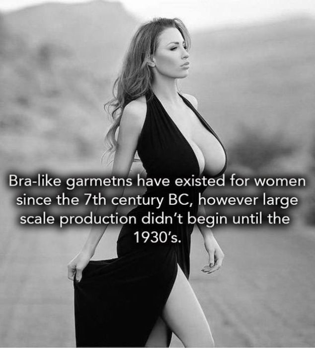 interesting facts about breasts