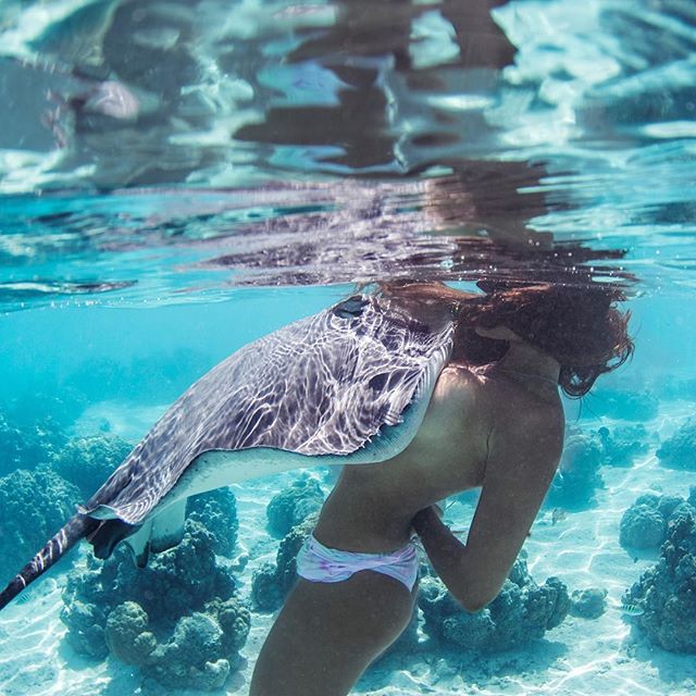 Underwater photography by Rava Ray