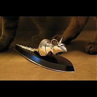 TopRq.com search results: animal armor