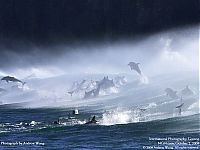 TopRq.com search results: Photos from the International Photography Contest