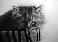 Art & Creativity: pencil drawing