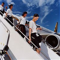 TopRq.com search results: Brian Finke photos - flight & cheerleader attendants