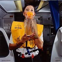 TopRq.com search results: Brian Finke photos - flight & cheerleader attendants