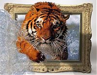 Art & Creativity: 3D photos