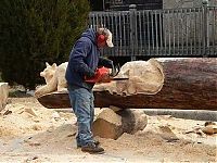 TopRq.com search results: Wood sculptures made by chainsaw