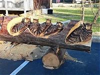 TopRq.com search results: Wood sculptures made by chainsaw