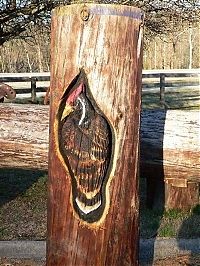 TopRq.com search results: Wood sculptures made by chainsaw