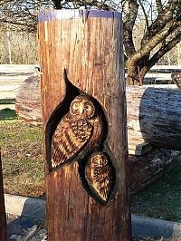 TopRq.com search results: Wood sculptures made by chainsaw