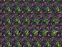 TopRq.com search results: Stereo images