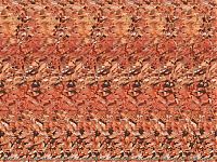 TopRq.com search results: Stereo images