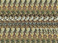 TopRq.com search results: Stereo images