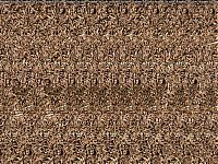 TopRq.com search results: Stereo images
