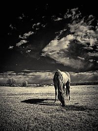 Art & Creativity: Work of Mark Ponomarenko