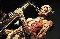 Art & Creativity: Body Worlds exhibition, Gunther von Hagens