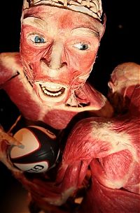 Art & Creativity: Body Worlds exhibition, Gunther von Hagens