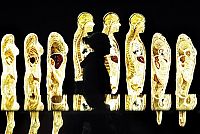 Art & Creativity: Body Worlds exhibition, Gunther von Hagens