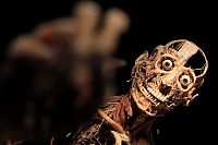 Art & Creativity: Body Worlds exhibition, Gunther von Hagens