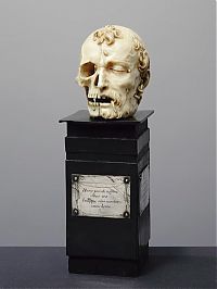 TopRq.com search results: Anatomical sculptures