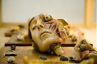 Art & Creativity: Anatomical sculptures