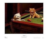 TopRq.com search results: Cat drawings