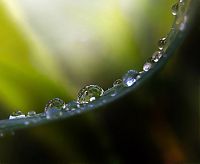 Art & Creativity: macro