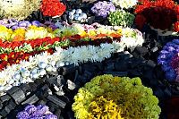 TopRq.com search results: Flower carpets
