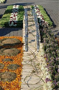 Art & Creativity: Flower carpets