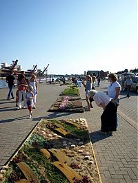 Art & Creativity: Flower carpets