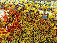 Art & Creativity: Flower carpets