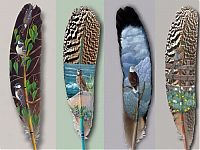 TopRq.com search results: Plumes drawings
