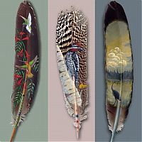 Art & Creativity: Plumes drawings