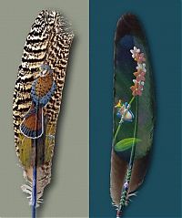 TopRq.com search results: Plumes drawings
