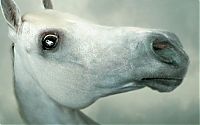 TopRq.com search results: Christopher Gilbert work