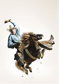 TopRq.com search results: Christopher Gilbert work